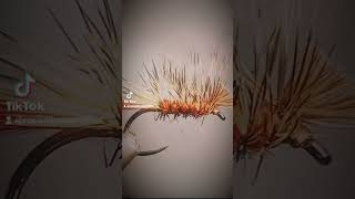 Dyret (animal) fly #fishing #flytying #dryfly #flytyingnation #dryflytying #flyfishinglife