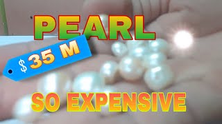 WE FOUND SOUTH SEA PEARL | MAXS HUNTER