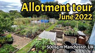 Allotment Tour: JUNE 2022: Vegetable Gardening UK: Plot tour