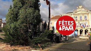 Le sapin de Noël est arrivé