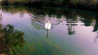 Lungo il Fiume Sile [ TREVISO ] Le Alzaie | Parco Regionale Naturale  del Fiume Sile