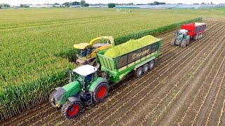 Maize Silage Race 2016 | NH FR9050 - Krone ZX560 - JD 7280R - FENDT 939/936 | Immink Aalsmeer