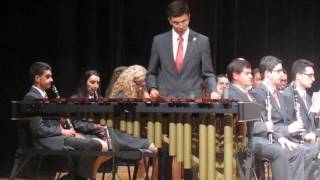 Marimba Concerto Solista Miguel Almeida