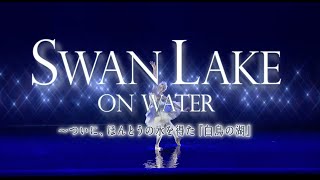 SWAN LAKE ON WATER AT THE TOKYO FORUM – AUGUST 2024