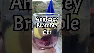 #Anglesey #Gin #Cocktail #halenmonseasalt #bramble #shorts