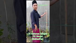 Pemeliharaan Tanaman Buah || Di Halaman Mesjid PP. Sirojul Mubtadi'ien