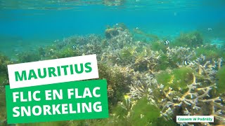 Mauritius - Flic en Flac snorkeling