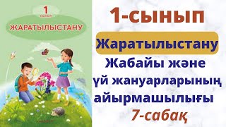 Бастауыш  сабақтары. Жабайы және үй жануарларының айырмашылығы. Жаратылыстану  пәні. 1-сынып.