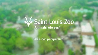 Get a Zoo Perspective TV Commercial 2023 (15 second)