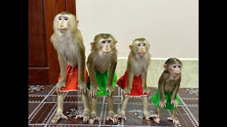 4 Siblings Standing Up Very Patiently Waiting Mom To Come & Bring Them Fruity Dessert To Eat ,