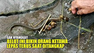 Pancing Ikan Di Kolam Malah Dapat Belut