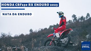 Prova HONDA CRF 250 RX Enduro 2023 by RedMoto