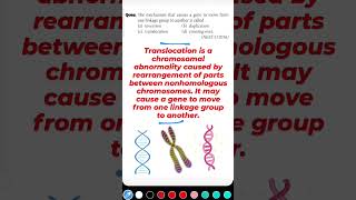 MCQs For NEET, Principles of Inheritance & Variation, Two-gene inheritance, Biology Class 12 Solved.