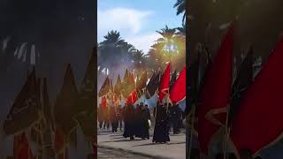 muharram ul haram #shortsfeed #viralvideo #trendingvideo #trendingshorts #viralshort #youtubefeeds