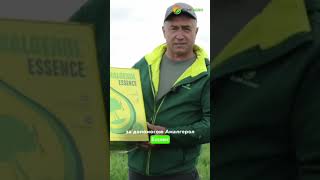 Захищаємо пшеницю від заморозків та стресів! #farming #agriculture