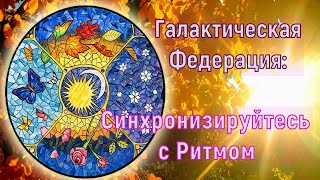 Галактическая Федерация: Синхронизируйтесь с Ритмом