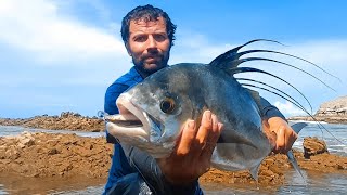 mi nuevo Récord , pez gallo , pacífico central Costa Rica #Roosterfish