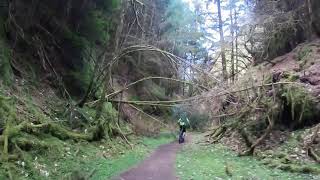 Dalby Forest Crosscliffe MTB ride KP Bike Club