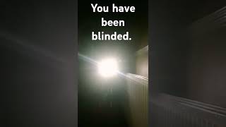 you have been blinded.