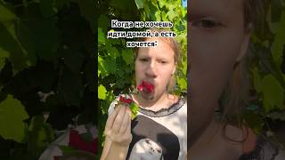 Розы были вкусные 😍 #юмор #tiktok #жиза #прикол #тренды