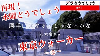 【過酷】水曜どうでしょう「再現！東京ウォーカー２日目21km」② ブラどうでしょう#71