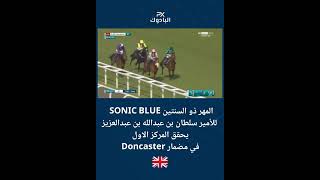 الجواد سونيك بلو .. ابن الفحل بلو بوينت .. حفيد ادلرفلوج ( Sonic Blue )