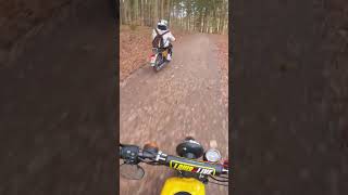 SIMSON im WALD mit FÖRSTER | #shorts