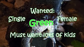 Wanted: Single Green Female