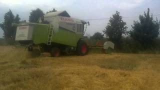 CLAAS Medion 310