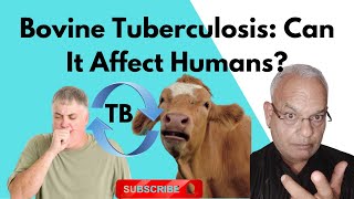 Bovine Tuberculosis: Can It Affect Humans? Exploring the Risks and Realities