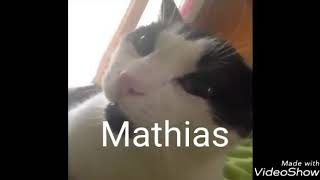 E Se RTTS Fossem Vines De Animais?