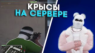 КРЫСЫ НА СЕРВЕРЕ / ГЛАВНАЯ ПРОБЛЕМА СЕРВЕРА / GTA5RP REDWOOD