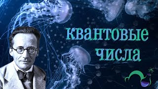 Как узнать всю информацию об электронах? Квантовые числа (Строение атома)