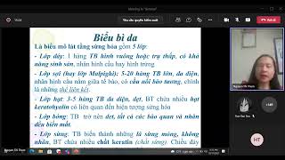 Da và các bộ phận phụ thuộc - Hệ hô hấp