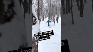 Tree skiing at Mont-Tremblant