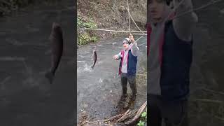 Форель на родниках в Осетии #fishing #рыбалкавидео #радужка #fish #рыбалка #родник