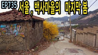 EP735 서울 중계본동 백사마을, 마지막 봄꽃구경 Seoul, Junggyebon-dong, "104(Baeksa) village"