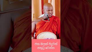 එක මලක් පිදුවත් සතුටු වෙන්න#welimada_saddhaseela_thero #budu_bana #bana #dharmadeshana