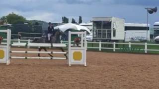 Florida VDL Foxhunter double clear@Arena UK