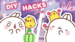 Molang and Piu Piu's Craziest DIY HACKS: What's going on ?! 😵 | We have a surprise for you