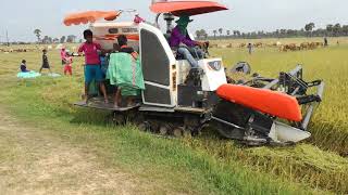 Agriculture in Cambodia Rice cut machine