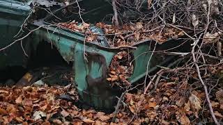 Old car dump at drybridge