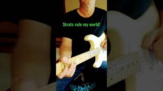 Strats rule my world! #shorts #fenderstratocaster