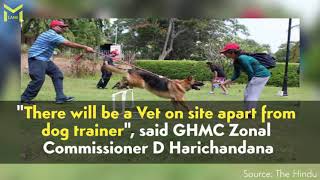 India's First Dog Park is Now in Hyderabad