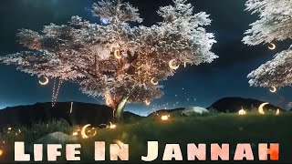 Life In Jannah | Part 2