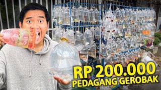 HUNTING RP 200.000 DI PEDAGANG IKAN GEROBAK KELILING! DAPET BANYAK BANGET!