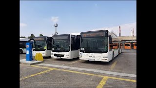 Sofia. Bus line 94. Student Town - Sofia University - Stunet Town. April 2024