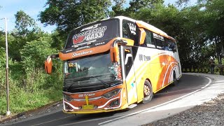 ARTIS BUS TELOLET BASURI JADUL PALING ENAK