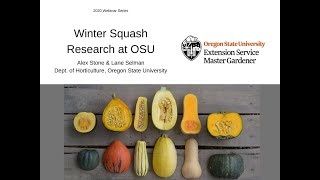 Winter Squash Research at Oregon State University