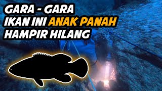 SPEARFISHING, Spot TITIK NOL Bulukumba...!!!!